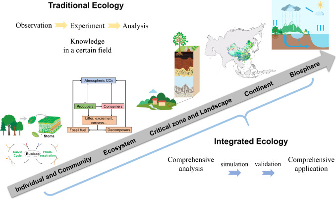 Consumer Ecosystem Analysis