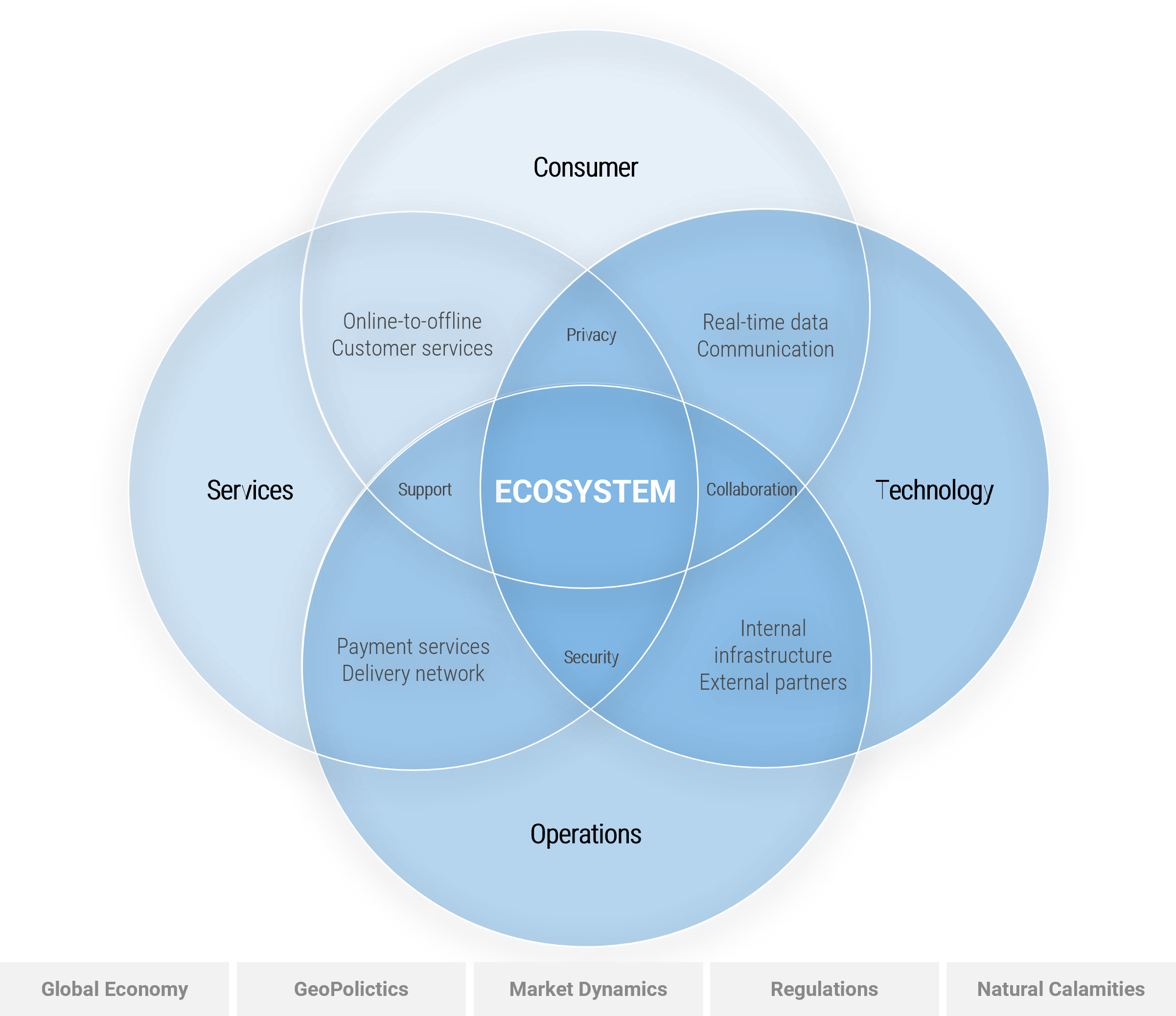 The Consumer Ecosystem Infrastructure